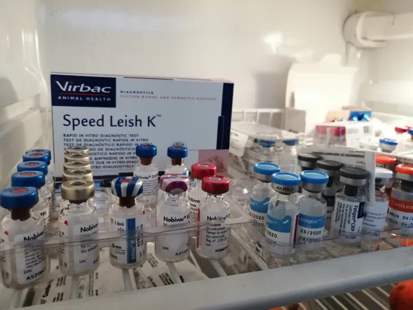 Medicina preventiva