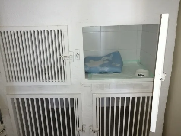 Hospitalización