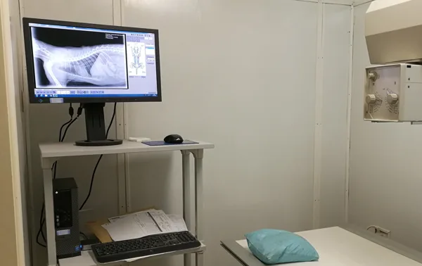 Digital radiology